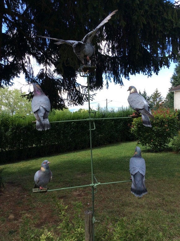 Palombe Mecanique, vente articles de chasse à la palombe ATTENTION le