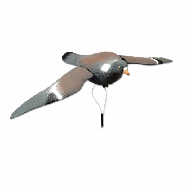 pigeon ailes battantes manuel - PABM