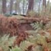 produit de camouflage camougraf - CAMOU64